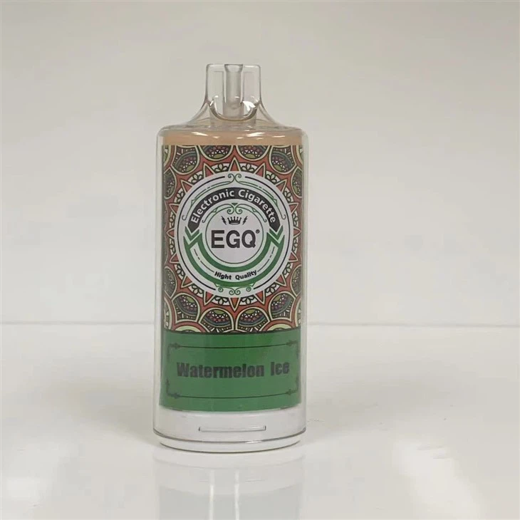 8000 Puffs Disposable Electronic Cigarette Vape Pen