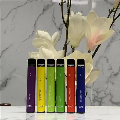 600 퍼프가 포함된 2ml 일회용 Vape