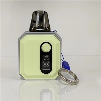 E 담배 미니 전자 담배 맞춤형 Vape 포드 공장 600 퍼프