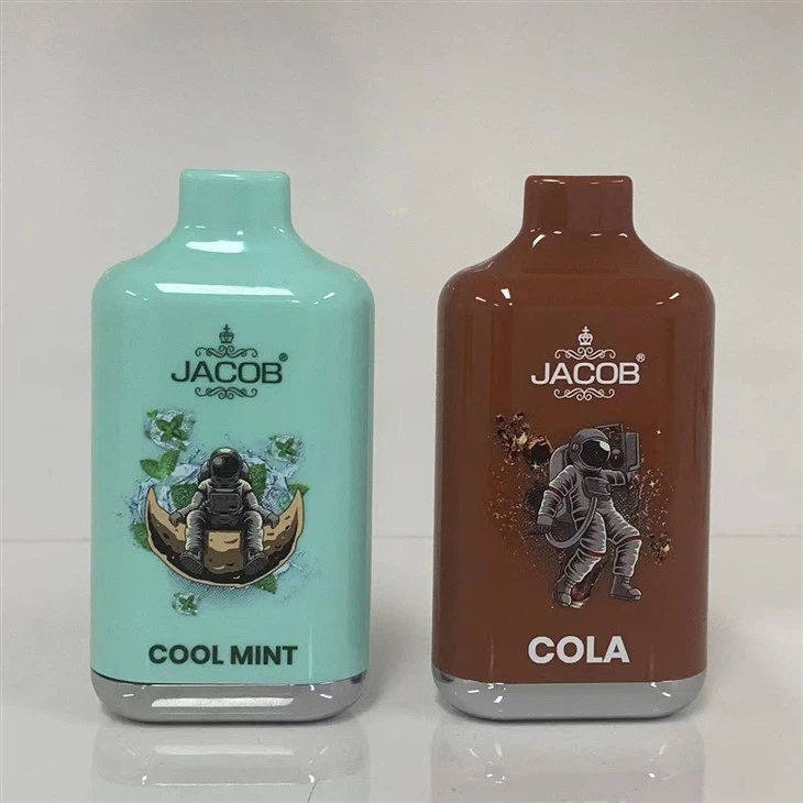 Wholesale Fruity Flavors Disposable Vape With 10000 Puffs